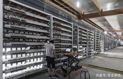 Large-scale mining farm full of diverse cryptocurrency mining equipment