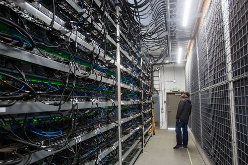 High-tech mining farm hosting clean energy rigs