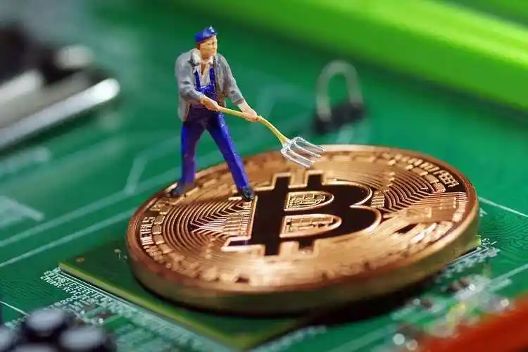 Dutch mining rig cooling system in an eco-friendly hosting farm