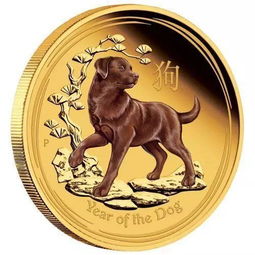 A Dogecoin miner working tirelessly to solve complex algorithms